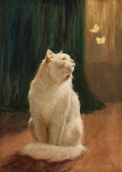 Weiße Katze und zwei Zitronenfalter by Arthur Heyer